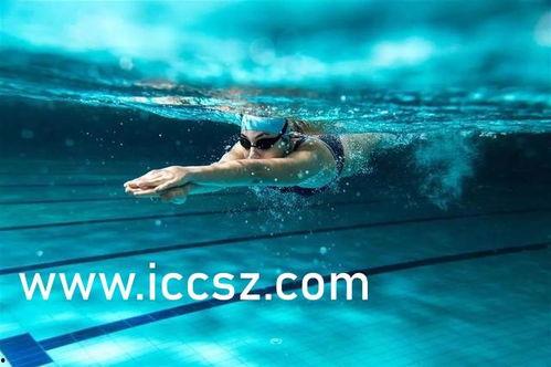 英国媒体爆料游泳视频,揭秘运动员训练幕后 第1张 英国媒体爆料游泳视频,揭秘运动员训练幕后 第1张